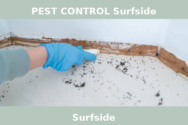 PEST CONTROL Surfside